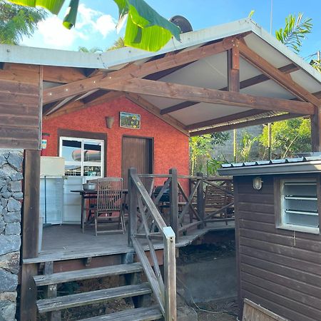 La Bananeraie Apt 35M2 Piscine Jardin Tropical Parking Prive Saint-Leu Eksteriør bilde