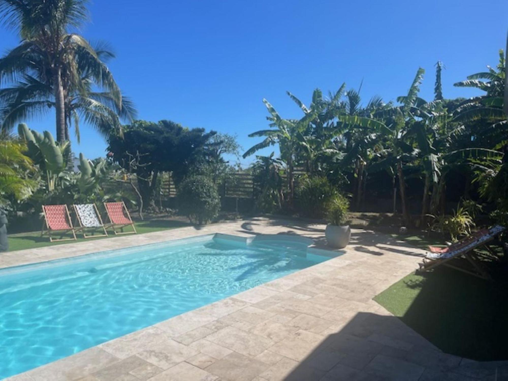 La Bananeraie Apt 35M2 Piscine Jardin Tropical Parking Prive Saint-Leu Eksteriør bilde