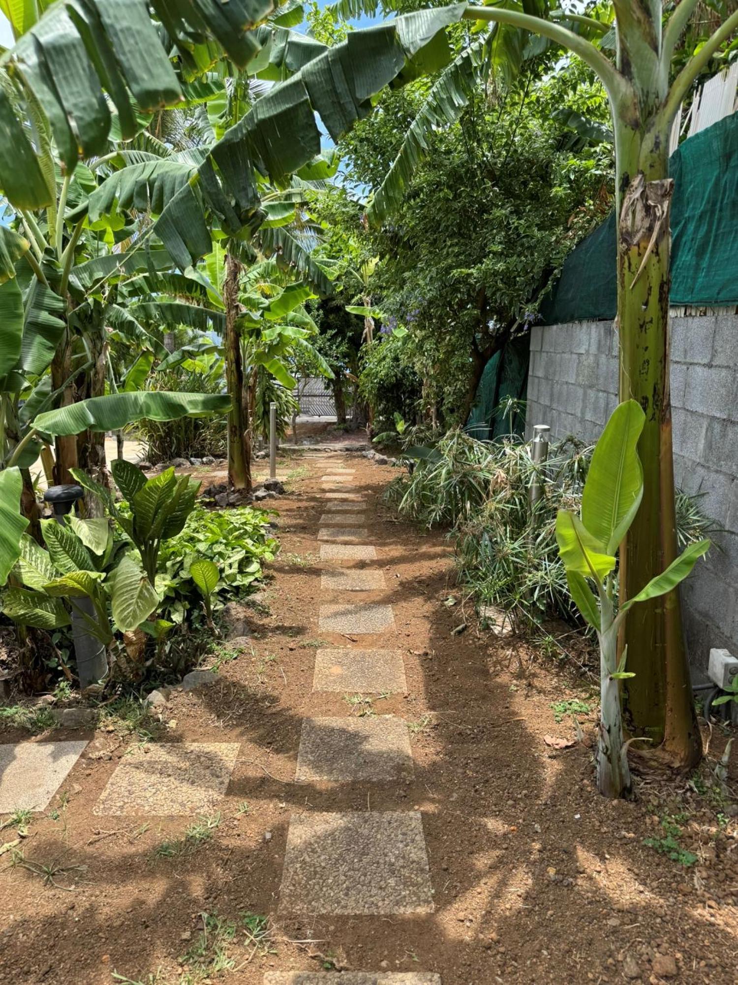 La Bananeraie Apt 35M2 Piscine Jardin Tropical Parking Prive Saint-Leu Eksteriør bilde