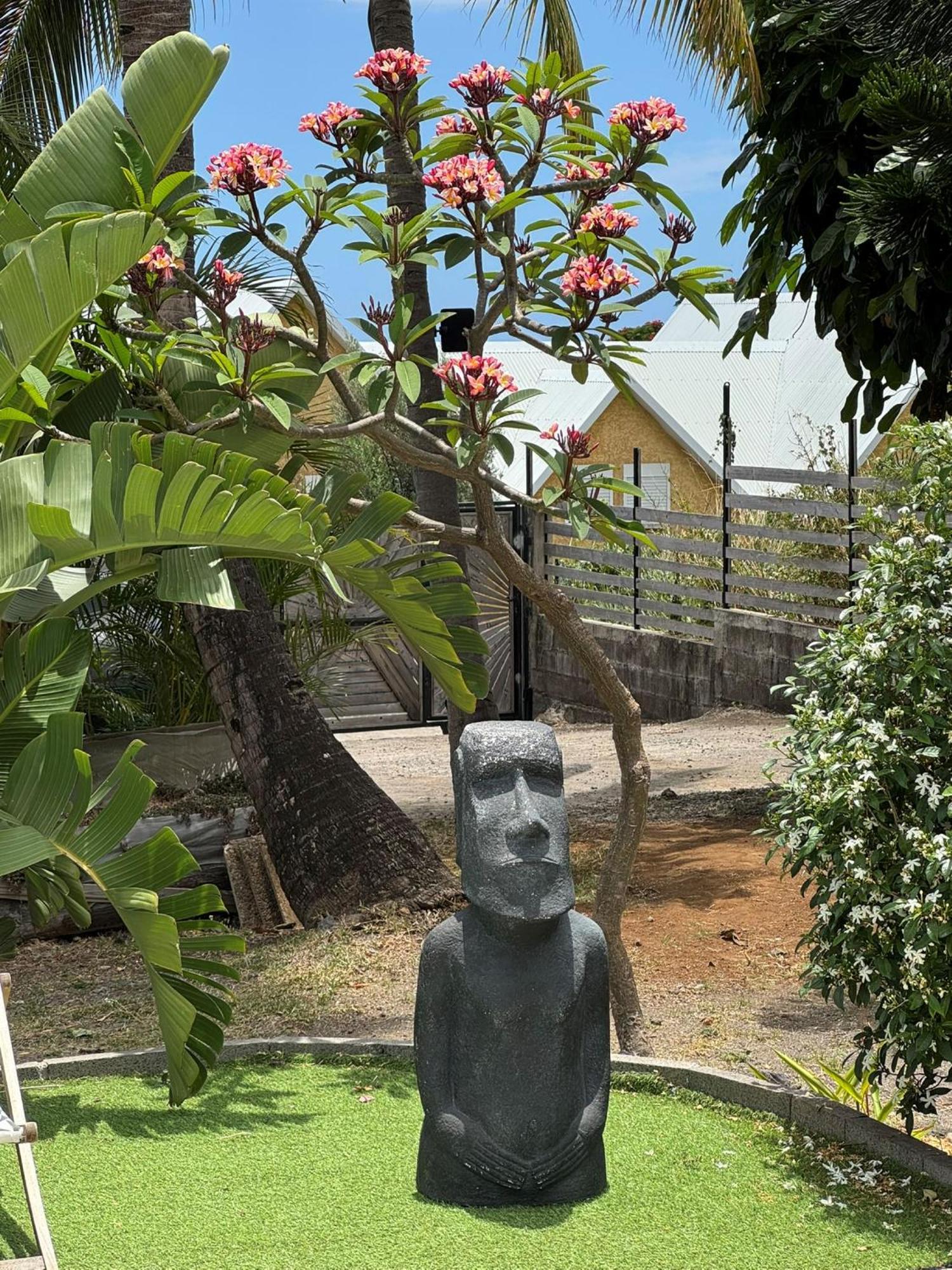 La Bananeraie Apt 35M2 Piscine Jardin Tropical Parking Prive Saint-Leu Eksteriør bilde