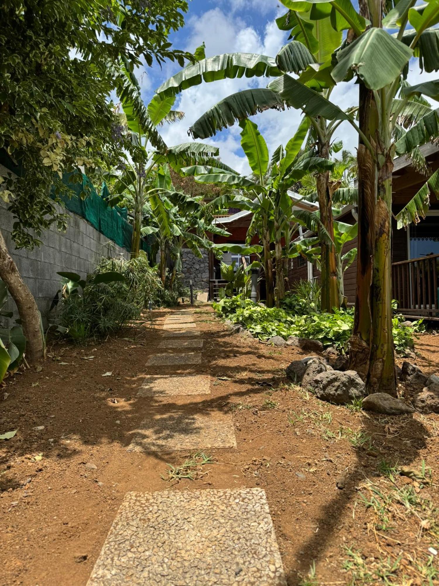 La Bananeraie Apt 35M2 Piscine Jardin Tropical Parking Prive Saint-Leu Eksteriør bilde